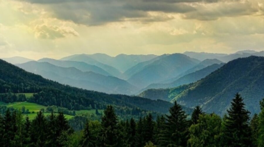 Pohľad na hory a lesy