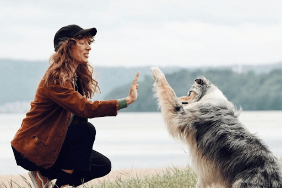 Žena so psom pri jazere. Zdroj: https://www.pexels.com/cs-cz/foto/more-priroda-plaz-dovolena-27949841/