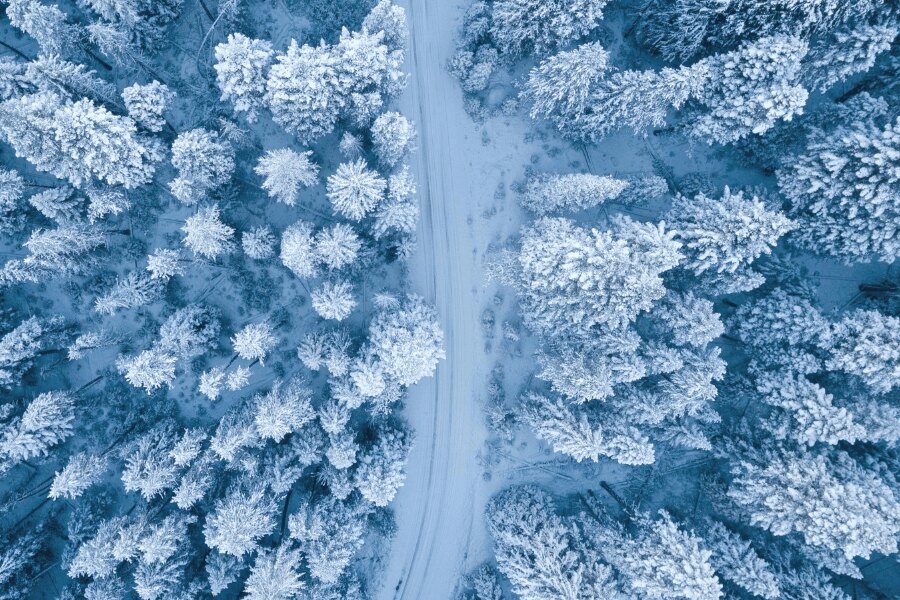 Zasnežený les, pohľad z dronu. Zdroj: https://www.pexels.com/cs-cz/foto/1438761/