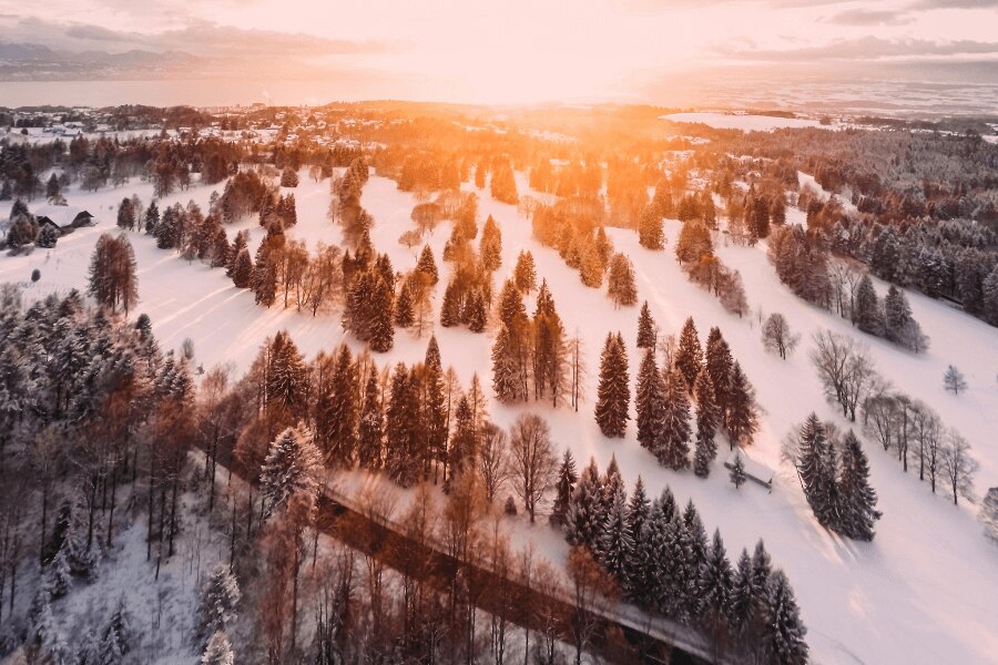 Zimná krajina s lesom pri západe slnka. Zdroj: https://www.pexels.com/cs-cz/foto/1643773/