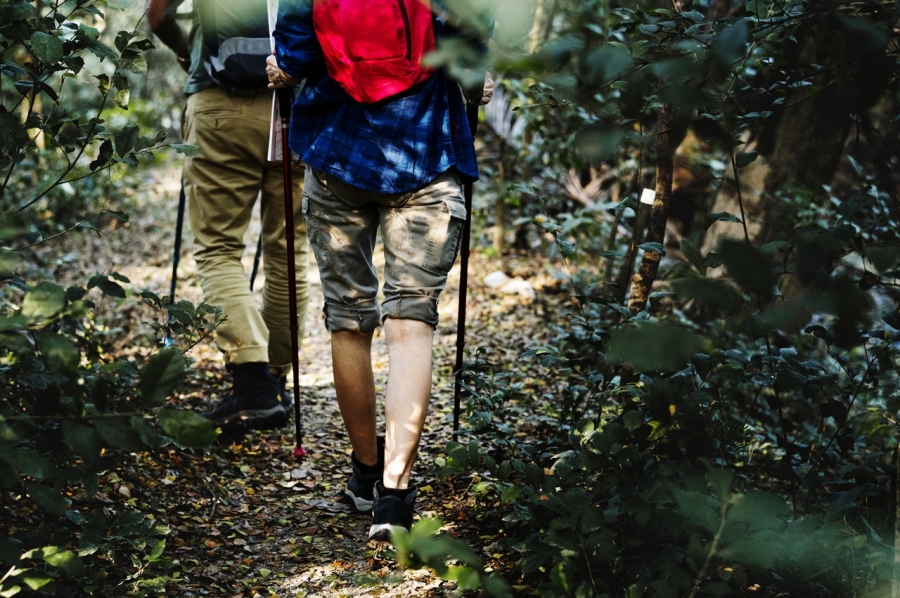 2 osoby na trekingu medzi rastlinami